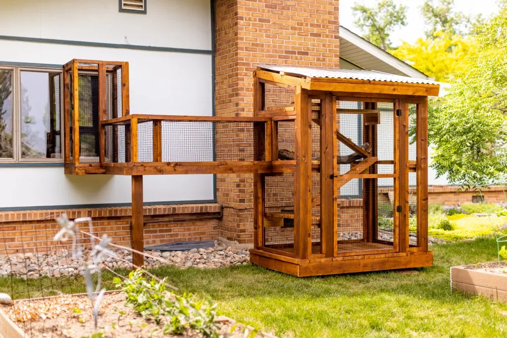 DIY Project Create A Safe Outdoor Haven For Your Cat With A Catio DIY Project Create A Safe Outdoor Haven For Your Cat With A Catio