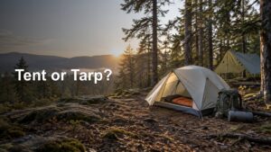 A backpacking tent with a sleeping bag and pack beside it, alongside a pitched tarp shelter in a sunlit conifer forest at sunset.